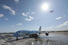 ANA Airbus A380 "Flying Honu